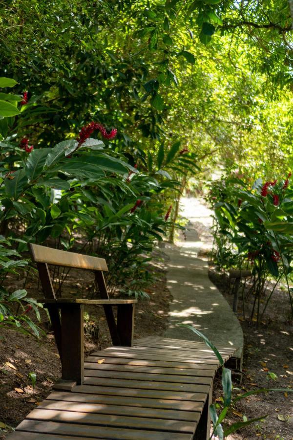 Alizees Guest house *